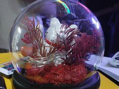-剧狐剧本杀(徐汇1号店)
