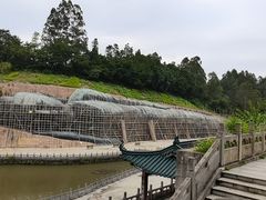-三水森林公园