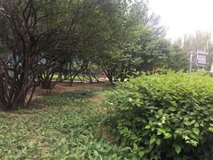 -满都海公园