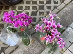 -双季花艺园艺市场(浦东店)