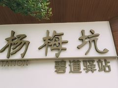 -杨梅坑