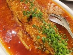 家常豆瓣鱼-芙蓉凰花园酒楼