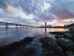 -星海湾跨海大桥