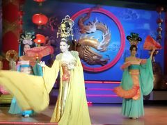 -金东尼人妖秀