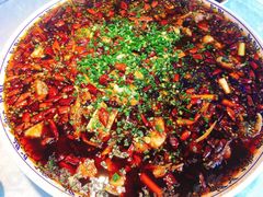 -新概念来凤鱼(璧山店)