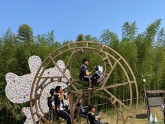 -黄海国家森林公园