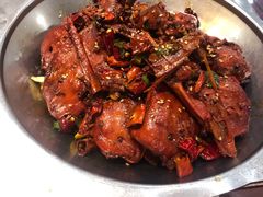 -邵年鸽(杨庄店)