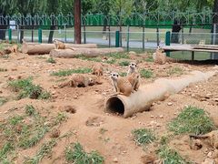 -秦皇岛野生动物园