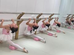 -朵拉舞蹈·少儿舞蹈·成人舞蹈(百花校区)