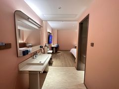 -汉庭(合肥火车南站北广场店)