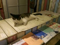 -小时光咖啡馆(开森度假森林店)