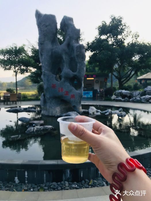 英德宝晶宫天鹅湖茶语温泉图片