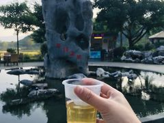 -英德宝晶宫天鹅湖茶语温泉