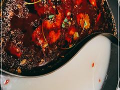 -新辣道鱼火锅(西直门店)