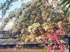 -深圳国际园林花卉博览园