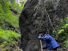 -峡谷浮石林景区
