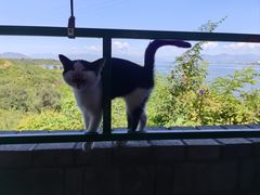 -小赖鱼馆