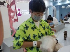 -糯米喵星人·撸猫猫舍咖啡馆(西市场嘉华店)