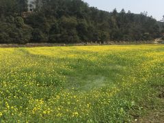 -梅岭月亮湾山体公园