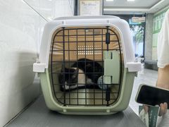 -半岛宠物医院24小时(白果林店)