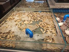 -一方渔歌蒸汽海鲜自助(文化路万达广场店)