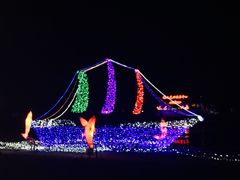 -杭州湾海上花田景区