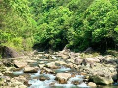 -鄣山大峡谷