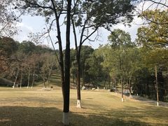-富乐山