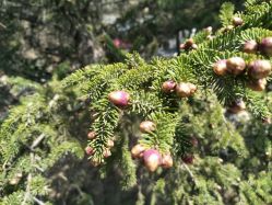 -小脚丫儿童摄影(勒泰中心商场店)