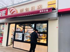 -面包日报
