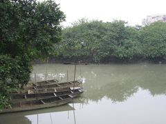 -小洲村