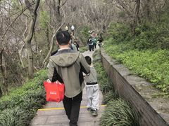 -句容茅山景区