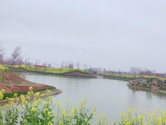 -武汉紫薇都市田园