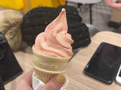 -麦当劳(季平店)