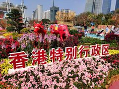 -海心沙亚运公园