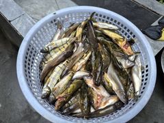 -途中饭店(开化店)