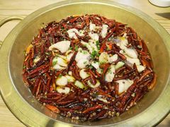 沸腾有机鱼片-蓬舍鱼馆(英伦城邦店)