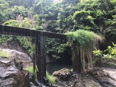 -东莞市大岭山森林公园