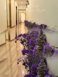 -FUMEIHUI·科技美肤·美体SPA