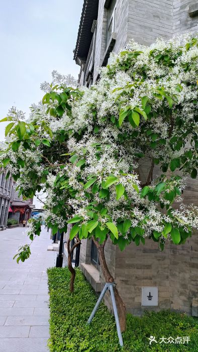 北京前门大栅栏图片