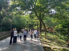 -敬亭山风景名胜区