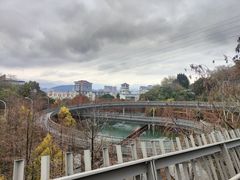 -福道