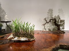 -双季花艺园艺市场(浦东店)