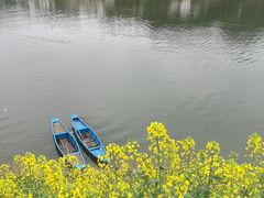 -新安江山水画廊风景区