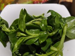 穿心莲-大厨房火锅