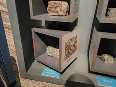 -湖南省地质博物馆