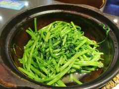 -熠盛粤味·顺德桑拿鸡(永康路店)
