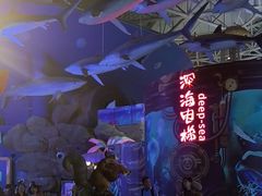 -烟台海昌鲸鲨海洋公园