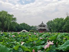 -莲池书院博物馆