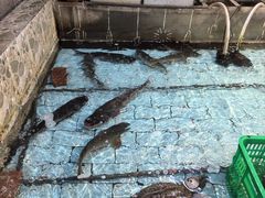 -鱼窝棚柴火铁锅炖(富山屯店)